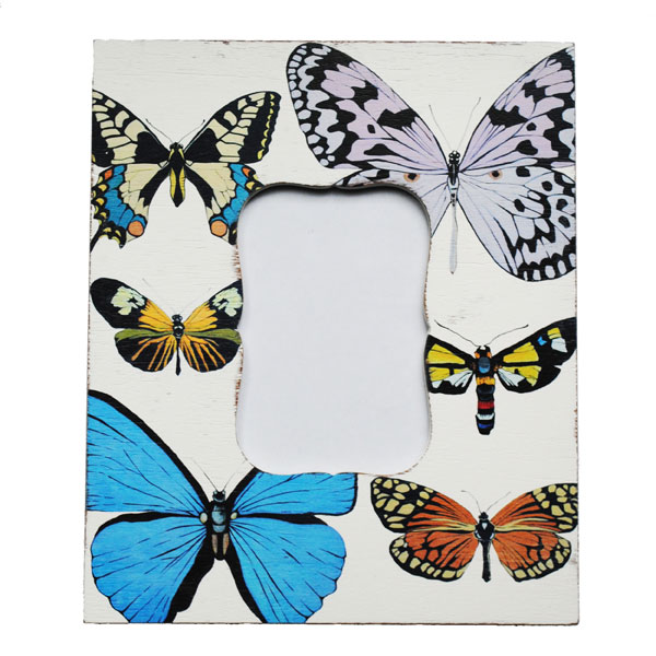 Butterfly lace frame