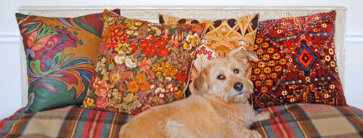 Autumn Cushions