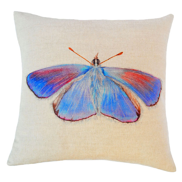 blue butterfly cushion