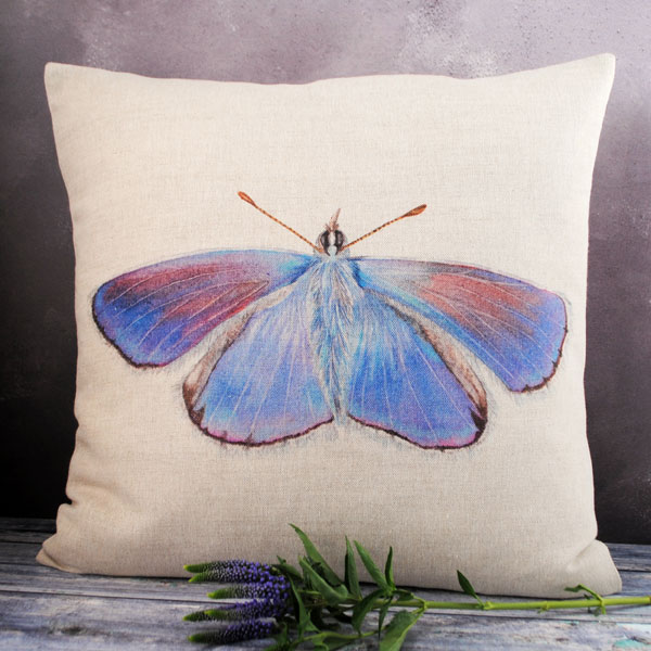 blue butterfly cushion