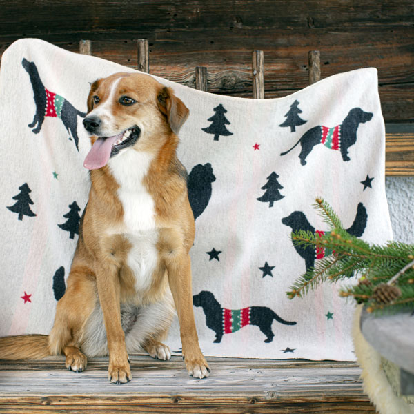 Christmas Dog Blanket