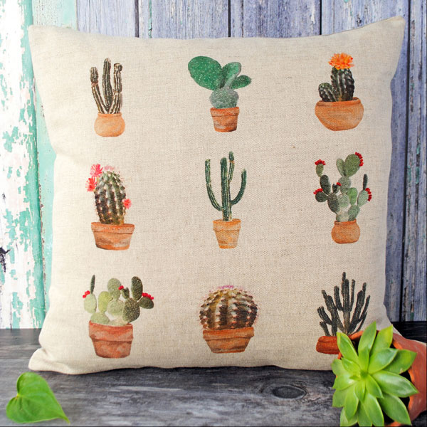 Cactus Cushion