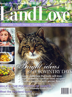 Land Love Jan Feb 2013