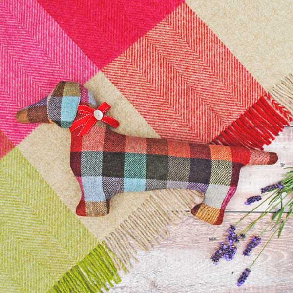 Wool Lavender Dachshund