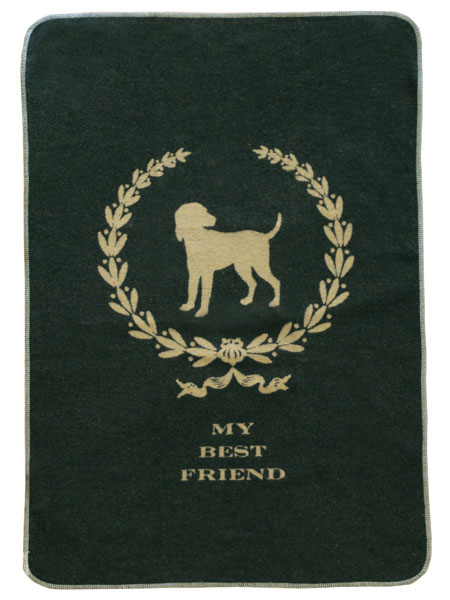 Best Friend Blanket