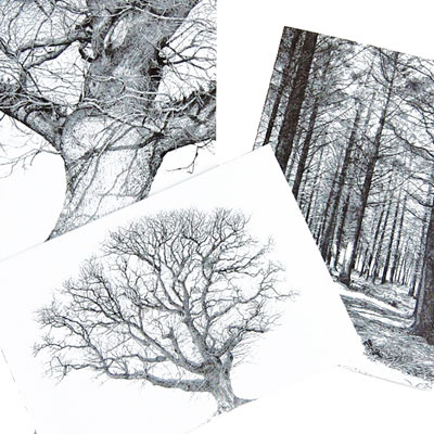 tree print cards