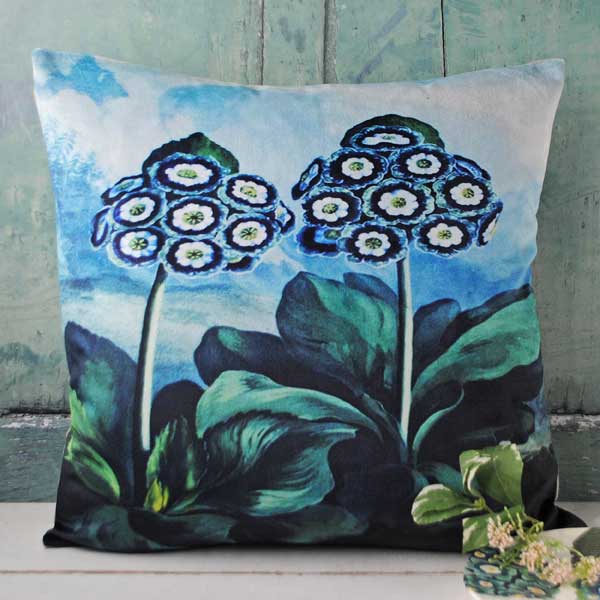 Velvet Auriculas Cushion