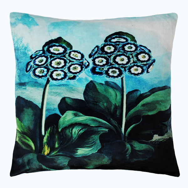 Velvet Auriculas Cushion