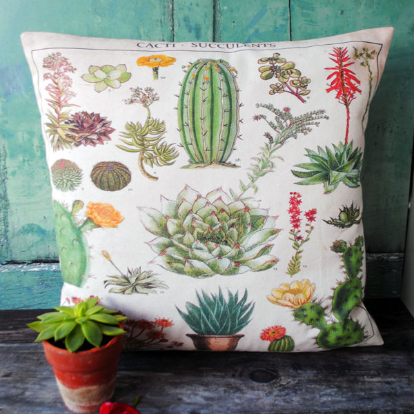 Cactus Cushion