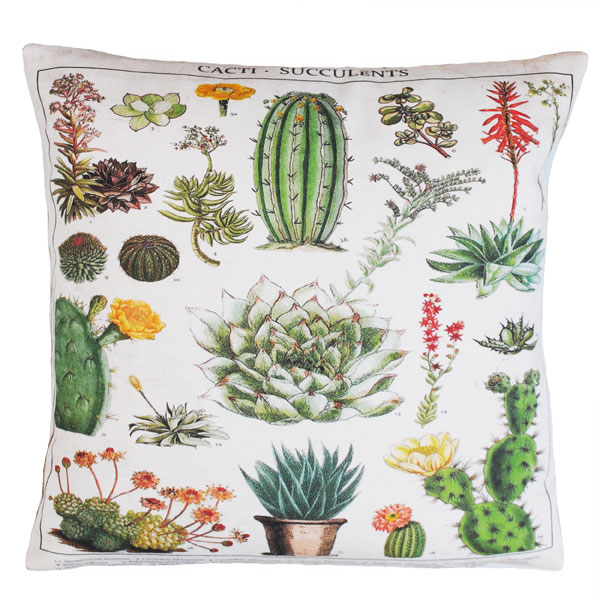 Cactus Cushion